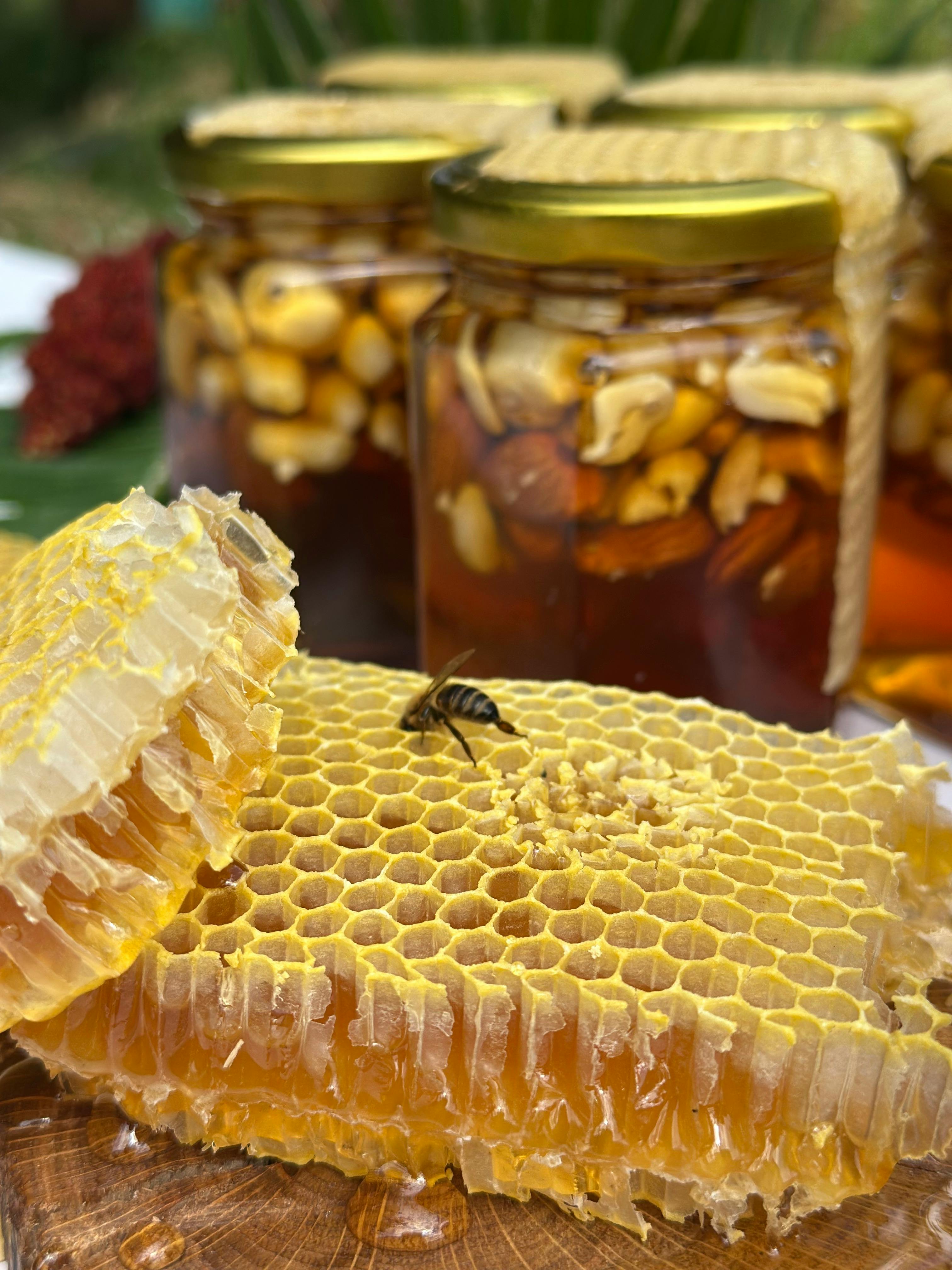 Traditional beekeeper tending hives in an Indian wildflower meadow